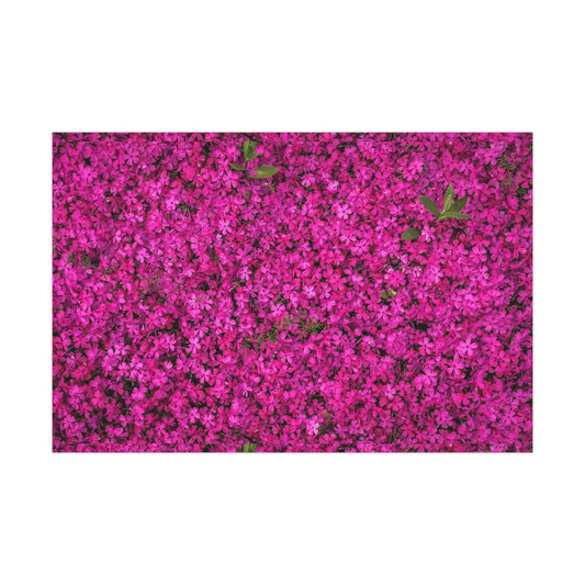 Vibrant Floral Gift Wrap Paper - Perfect for All Occasions, Birthday, Holiday,