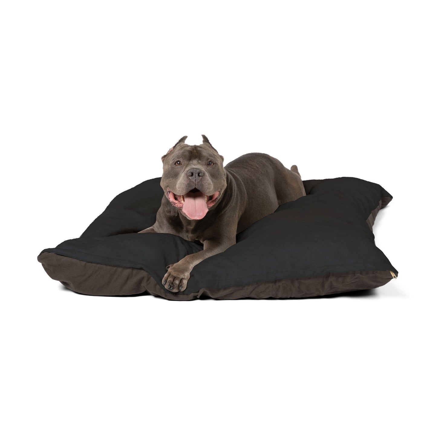 Black Cat Eyes Pet Bed — Cozy Plush Cushion for Cats & Small Dogs