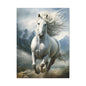 White Stallion Canvas Print – Majestic Galloping Horse Wall Art