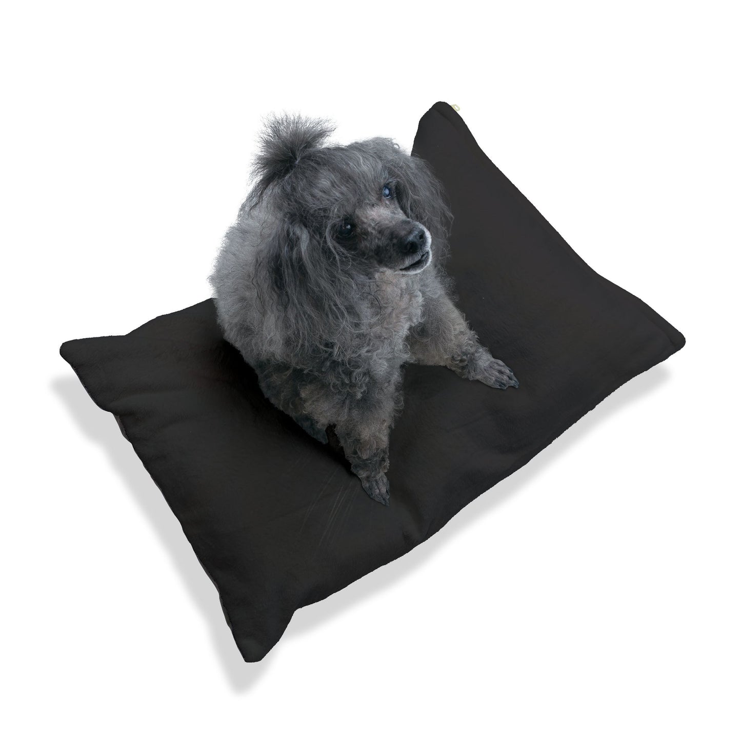 Black Cat Eyes Pet Bed — Cozy Plush Cushion for Cats & Small Dogs